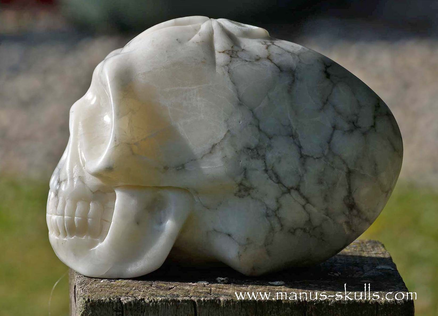 Large Alabaster Skull with Ankh Symbol