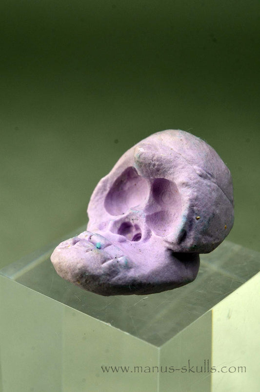 Phosphosiderite Evolian Skull #01