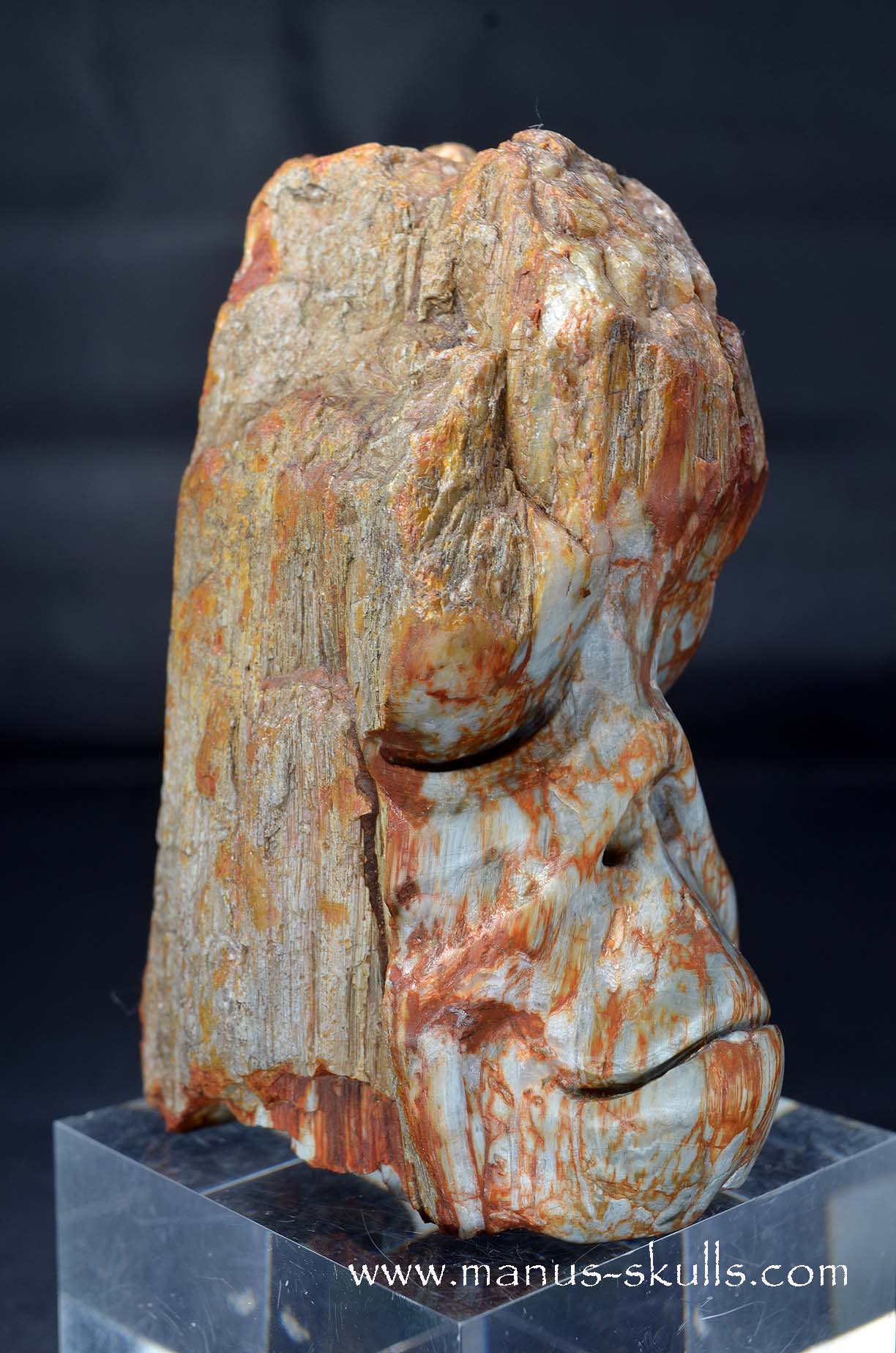 Eagle Eye Quartz Character Skull face
