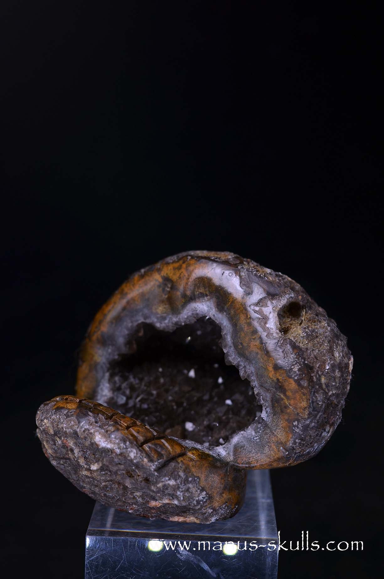 Manus skulls unique Crystal Carvings handmade skulls dragons pendants preseli bluestone tribals spiritual meaning wand Unicorn .. agate geode Evolian