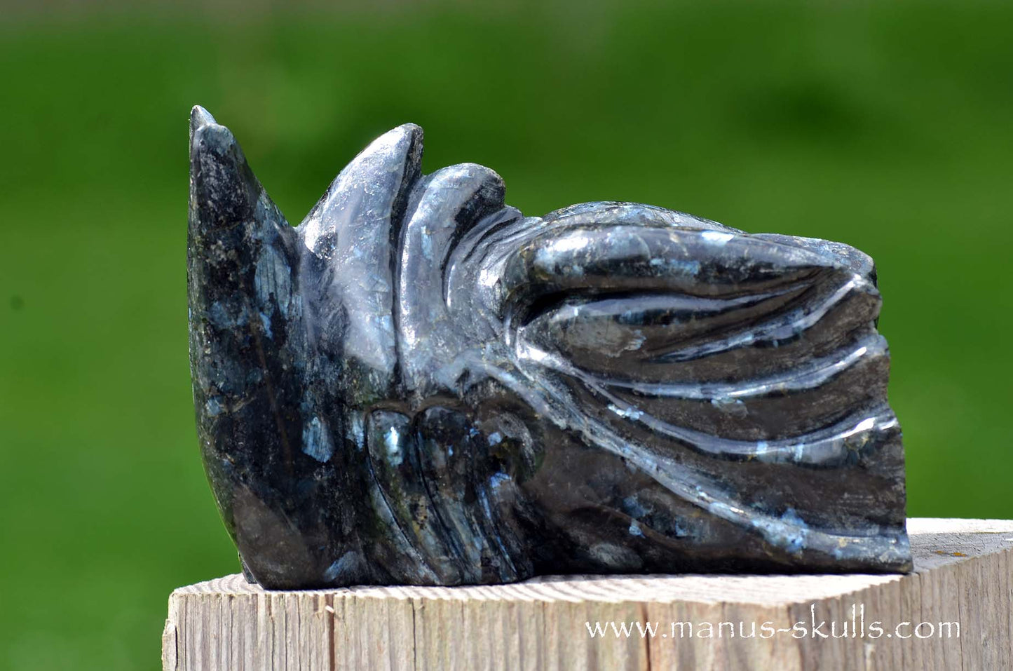 Large Larvikite Dragon