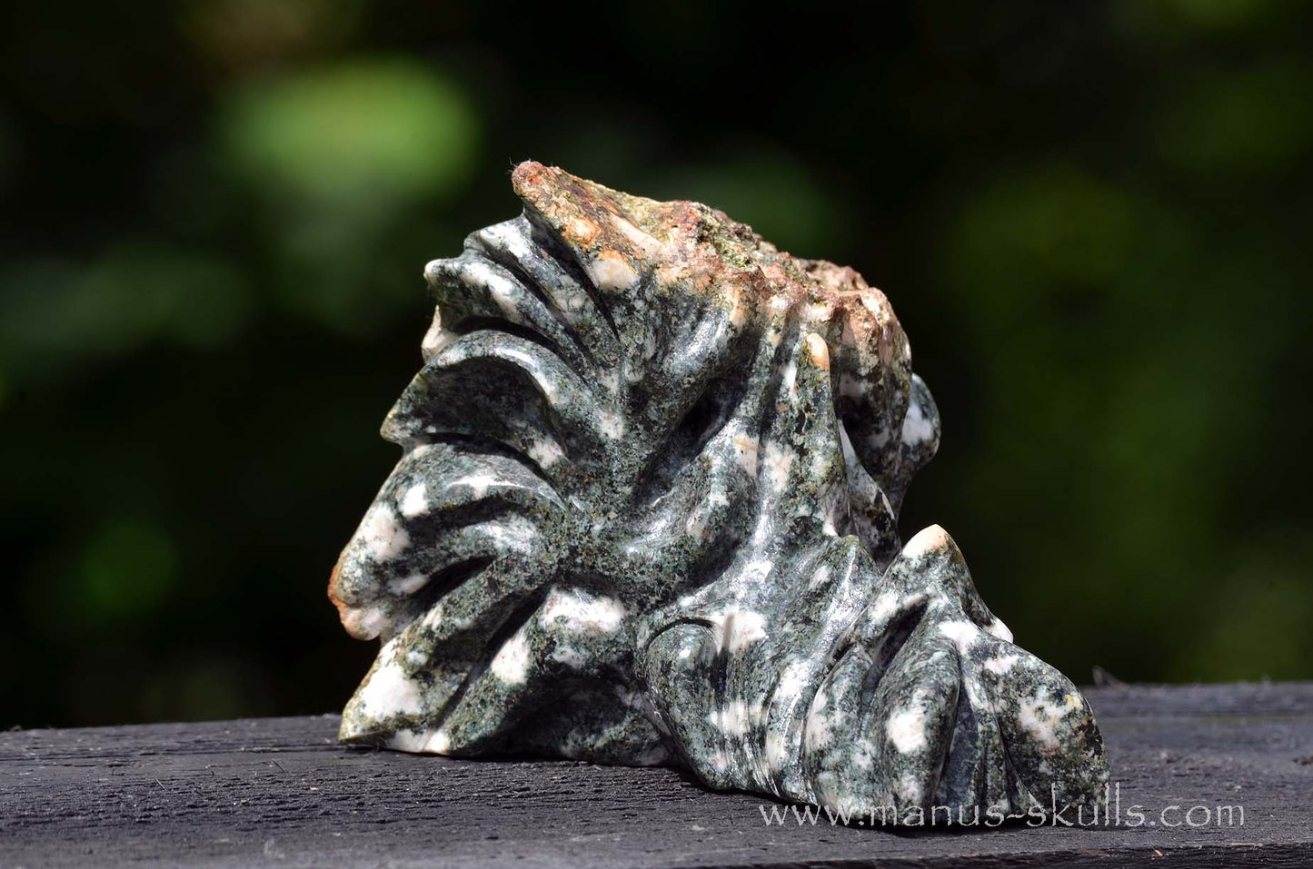 Preseli Bluestone Dragon