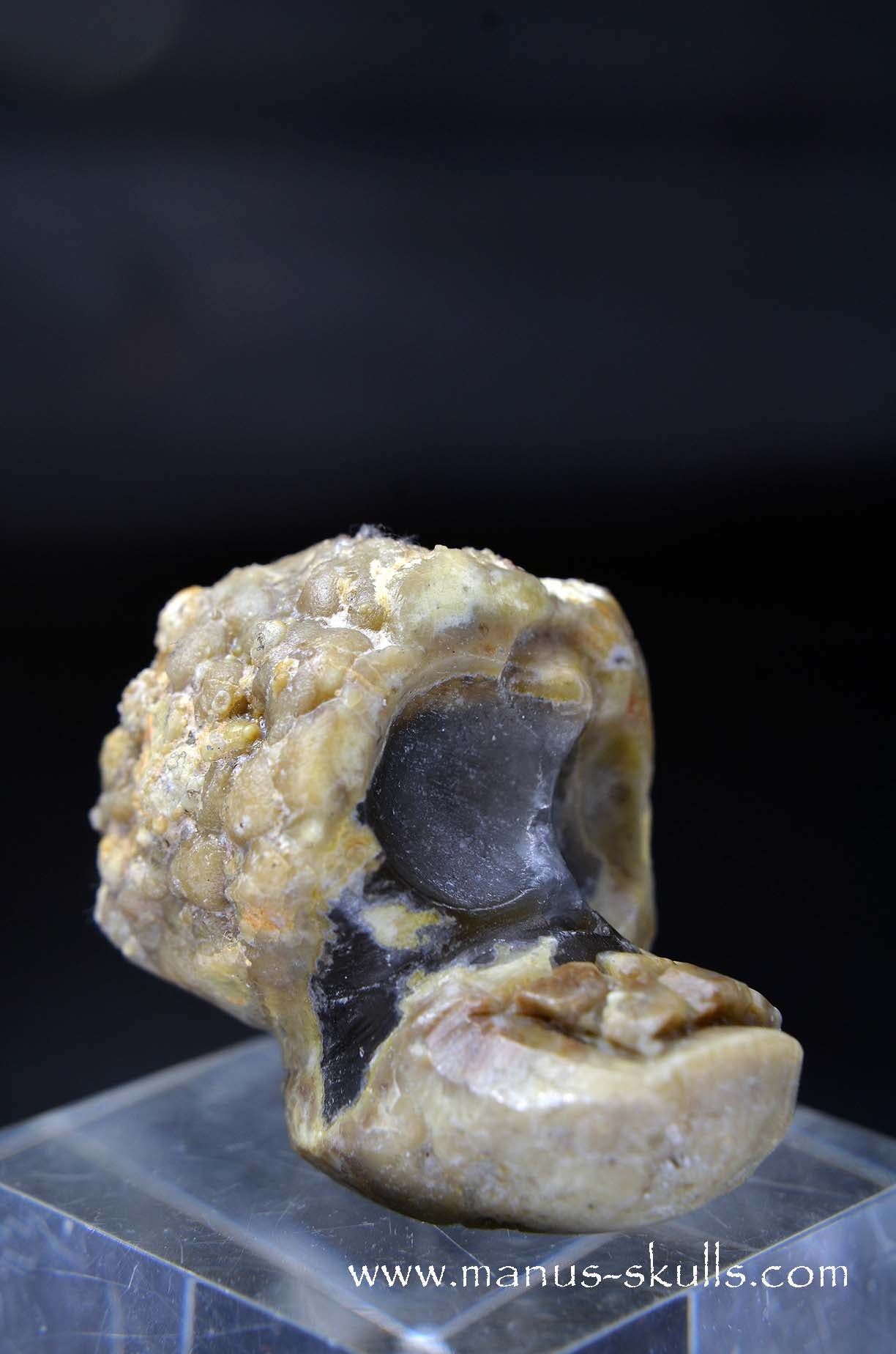 Manus skulls unique Crystal Carvings handmade skulls dragons pendants preseli bluestone tribals spiritual meaning wand Unicorn .. TNT bed Lithophyse Thunderegg