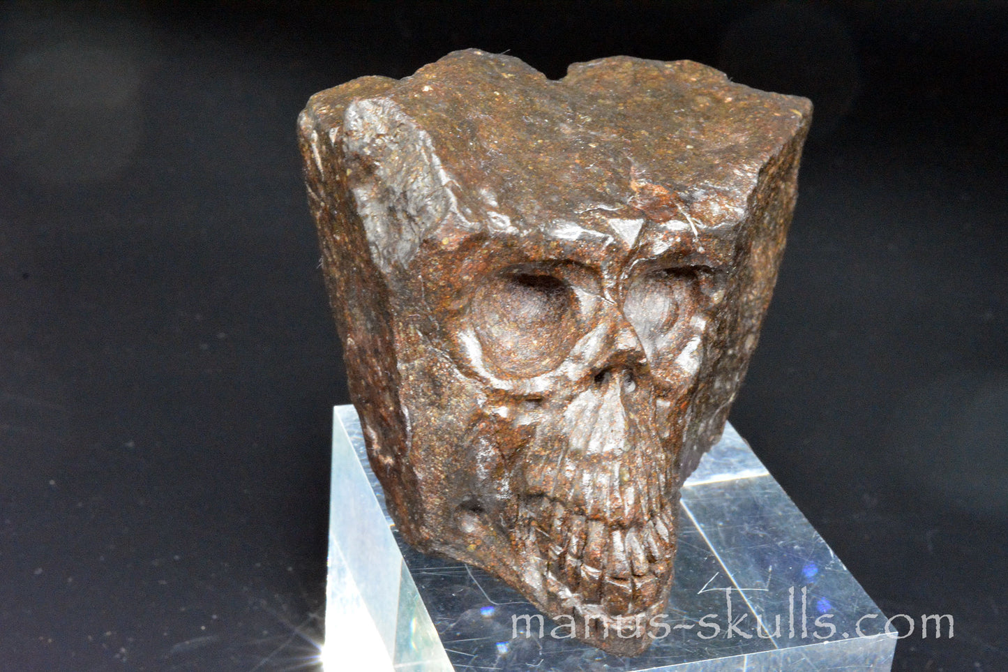 Meteorite Skull