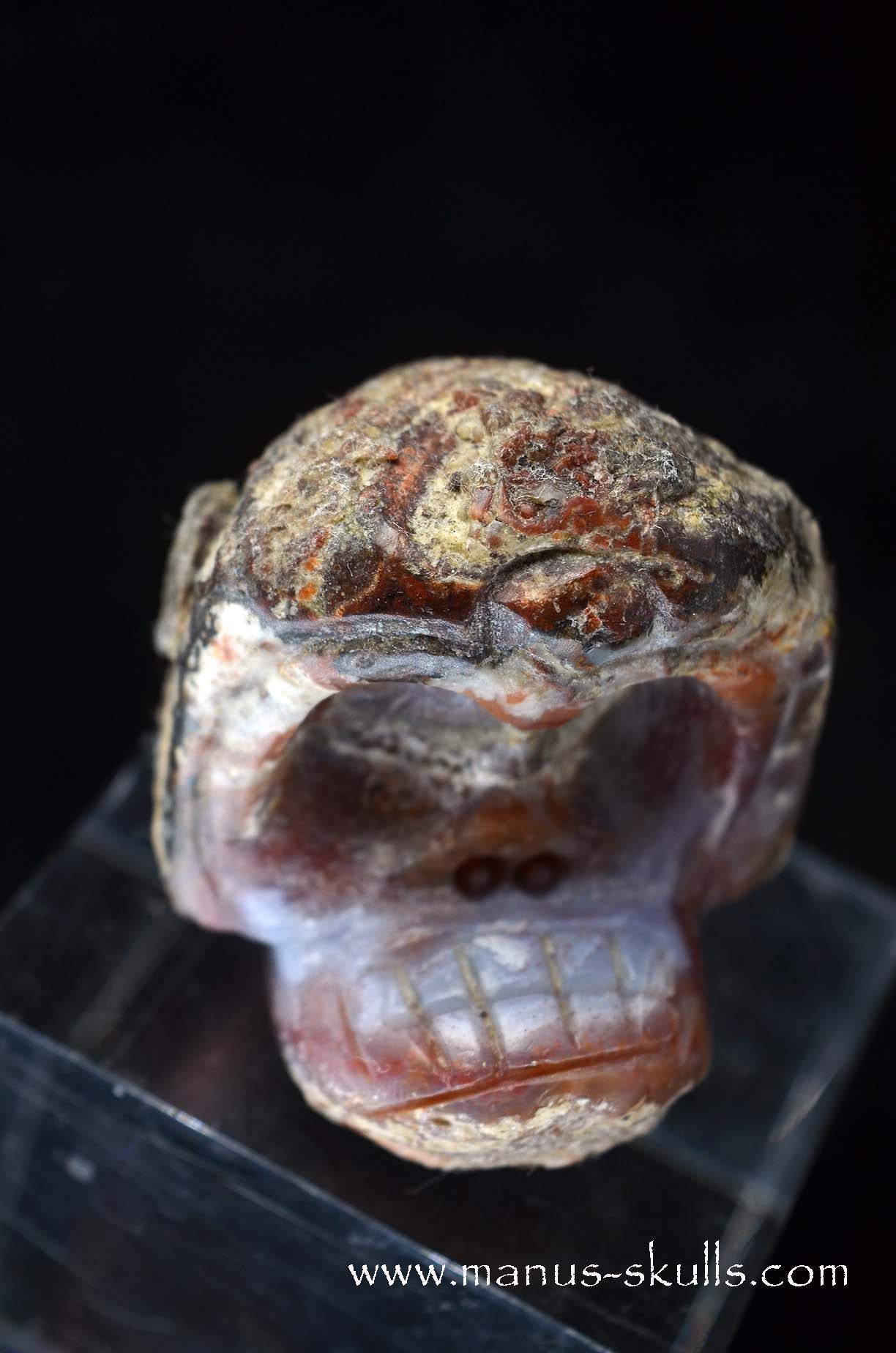 Agate Geode Evolian #04