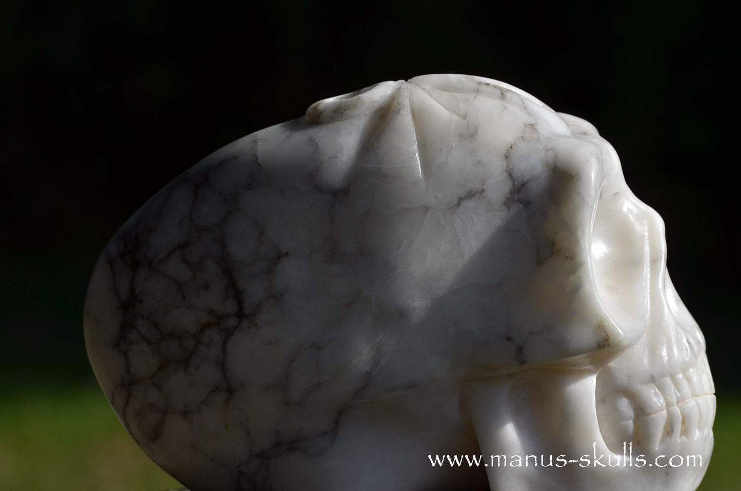Large Alabaster Skull with Ankh Symbol