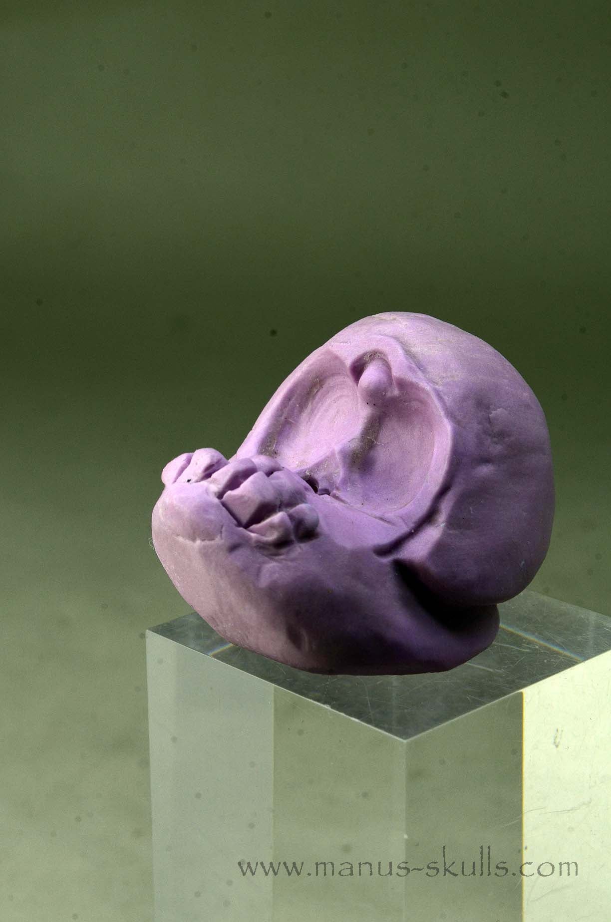 Phosphosiderite Evolian Skull #04