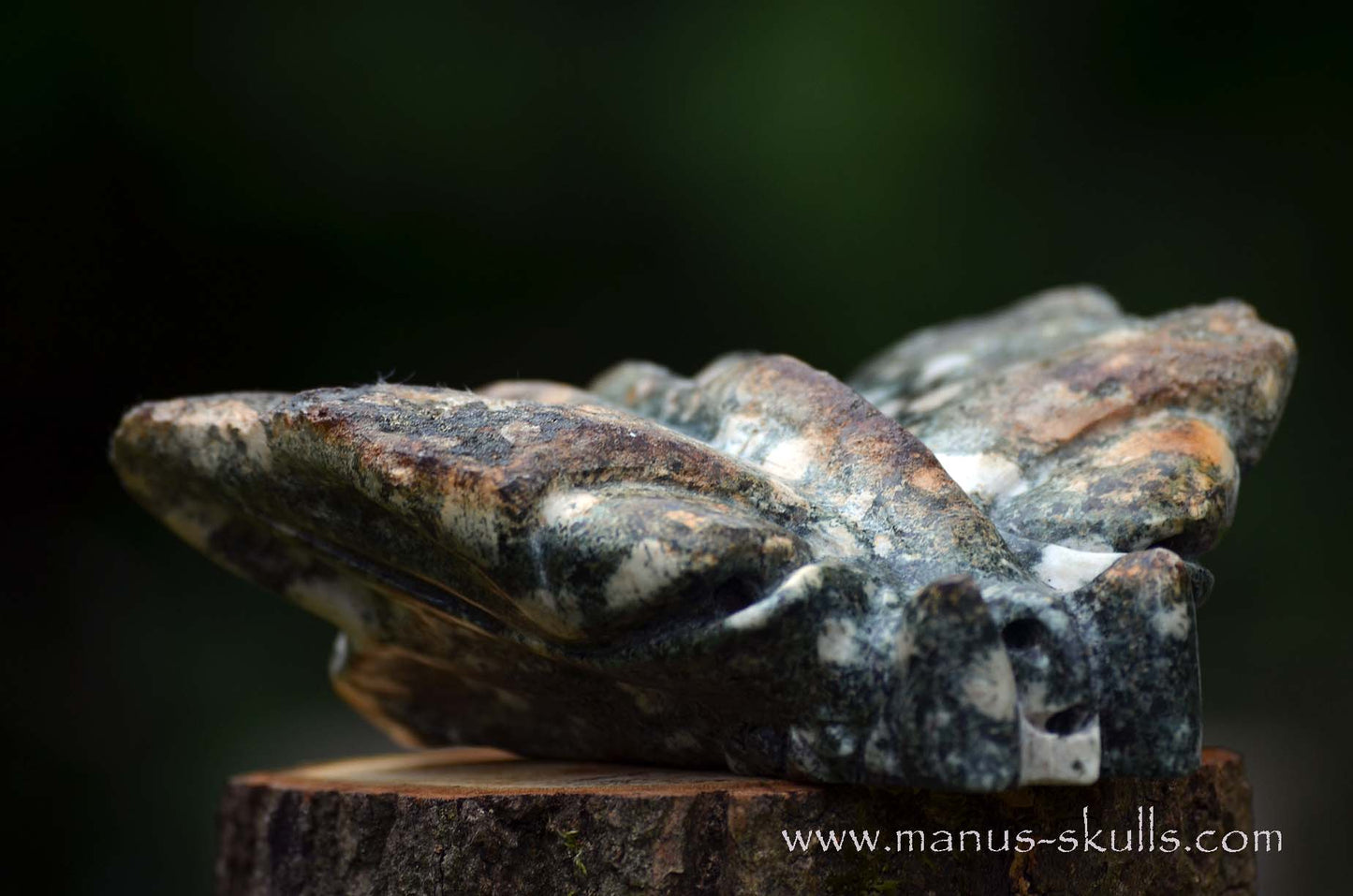 Preseli Bluestone Butterfly Dragon ....