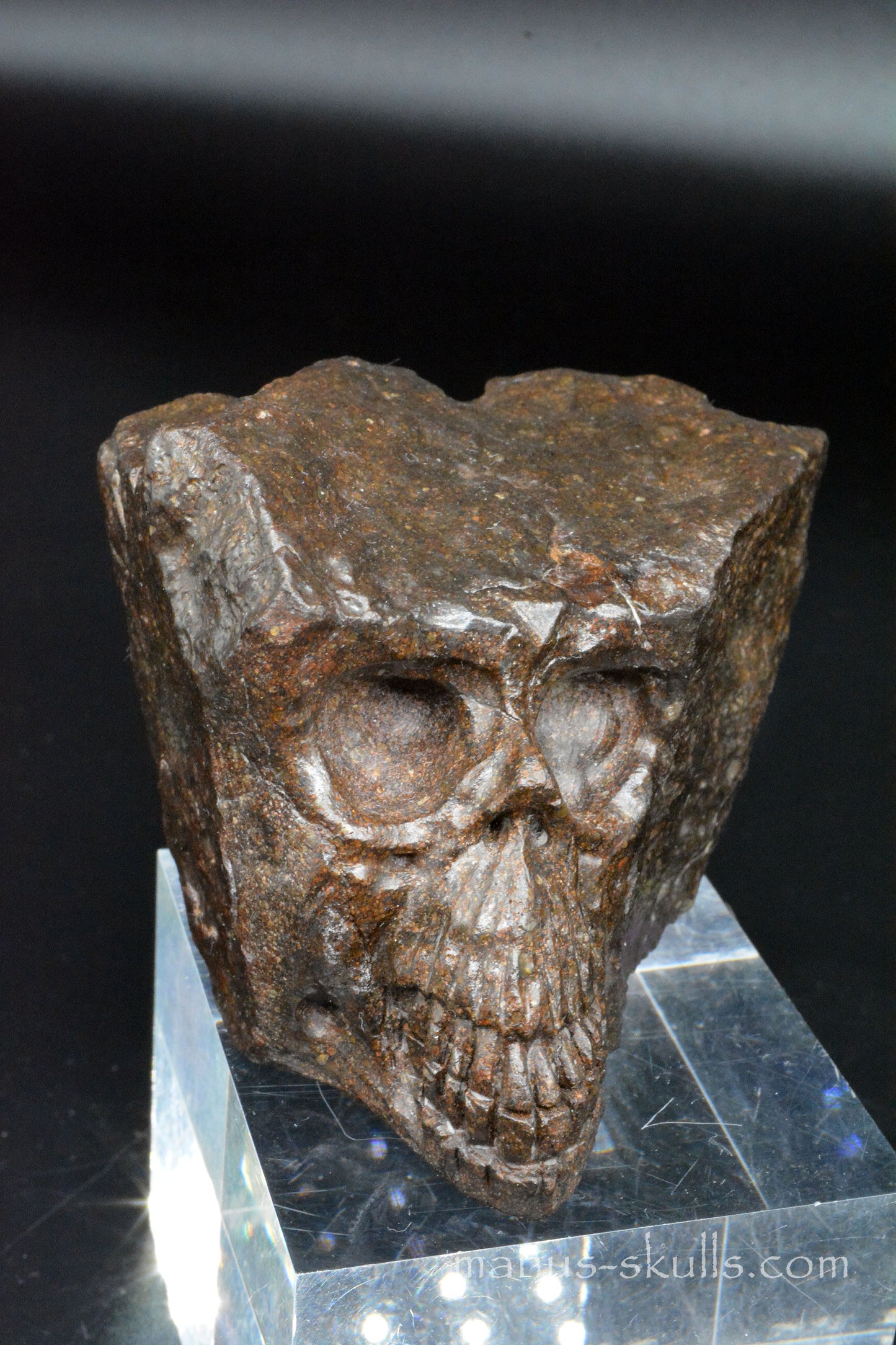 Meteorite Skull