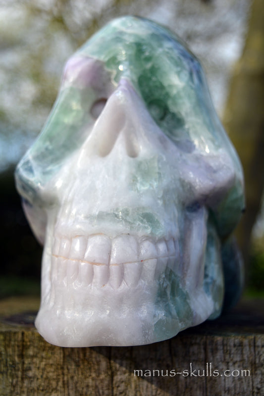 Huge Rainbow Fluorite Traveller Skull ..