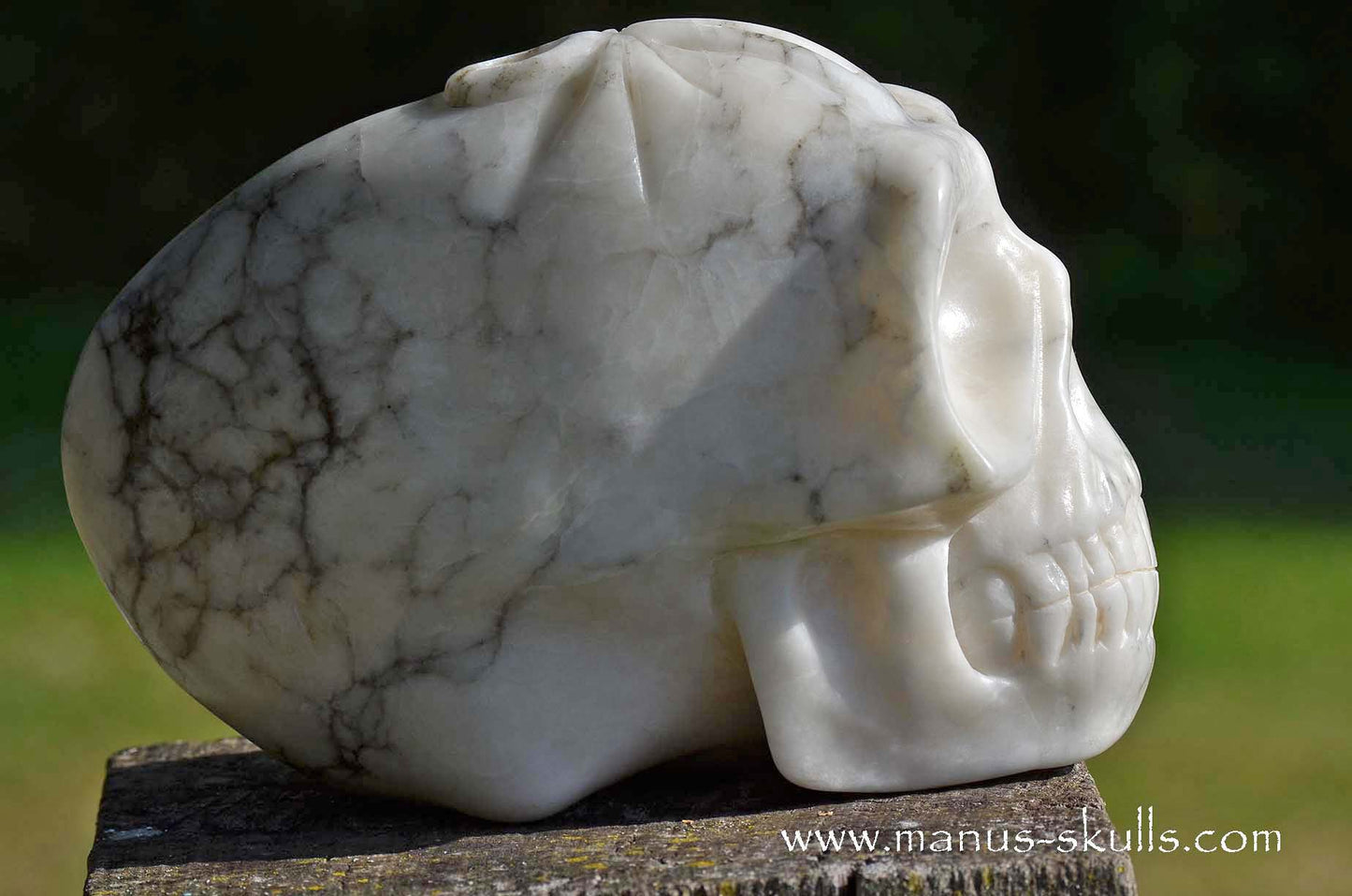 Large Alabaster Skull with Ankh Symbol
