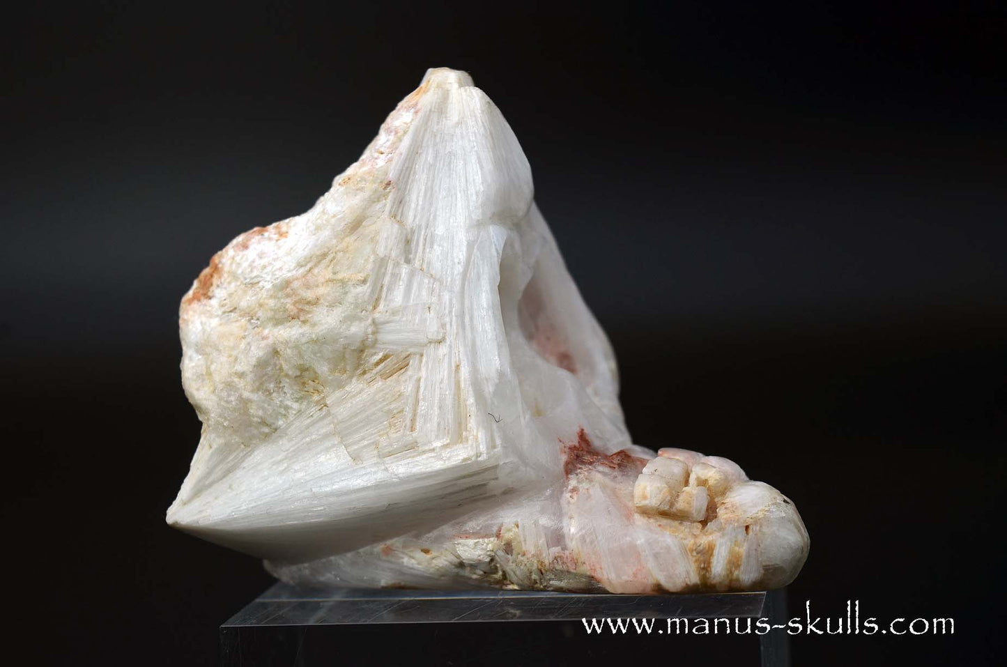 Scolecite Evolian Skull #03