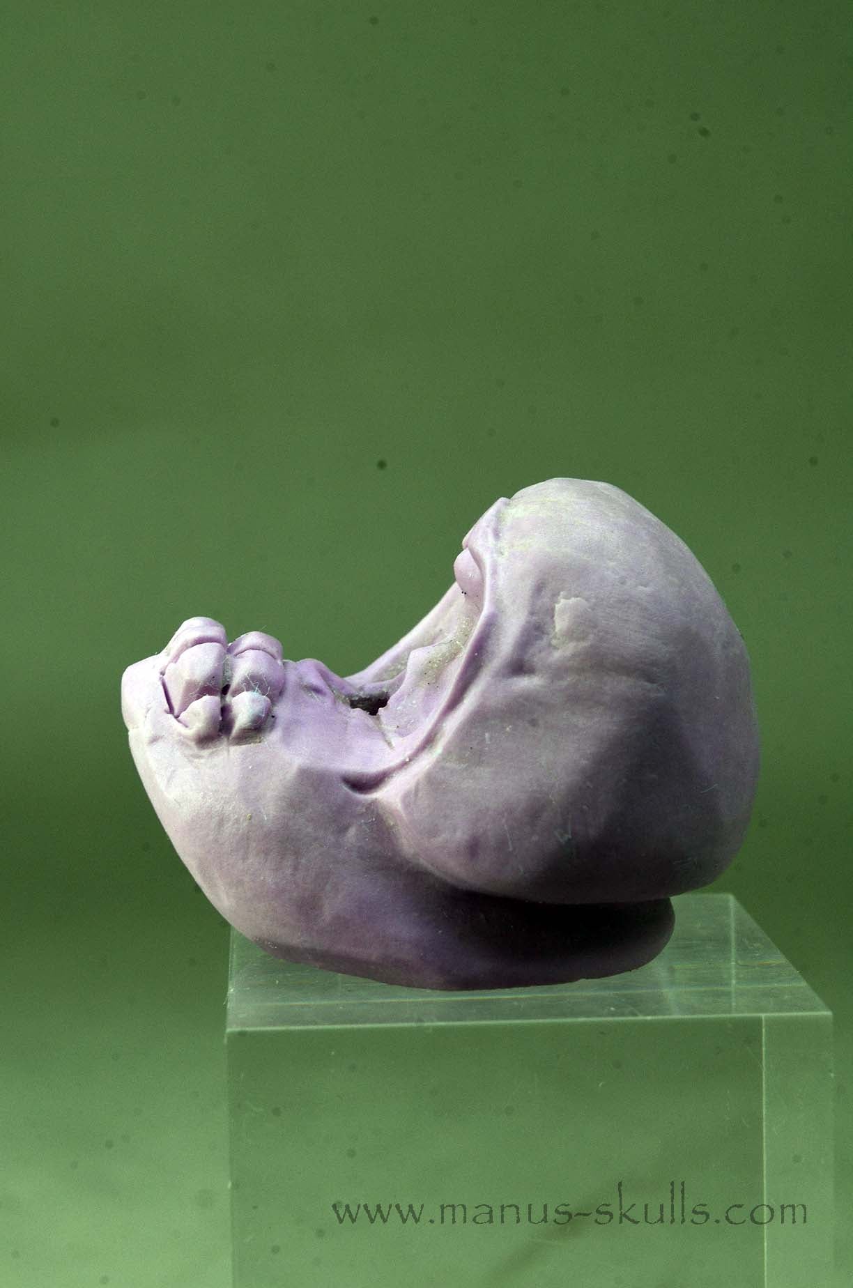 Phosphosiderite Evolian Skull #04