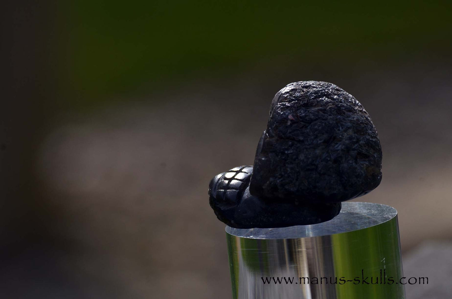 Agni Manitite Evolian #03