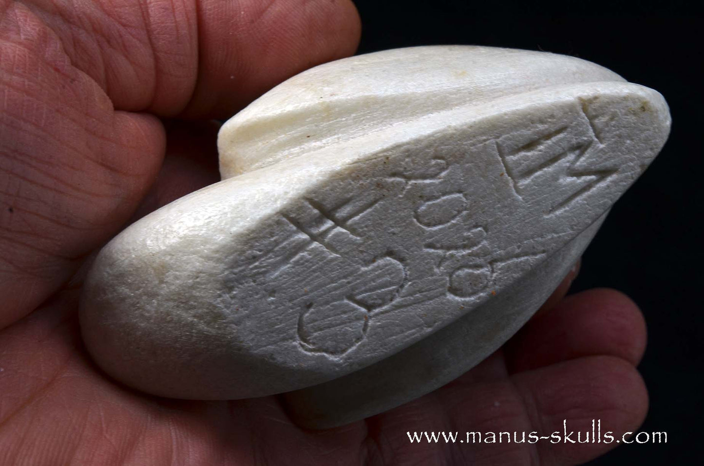 White Steatite Evolian 2026 #03