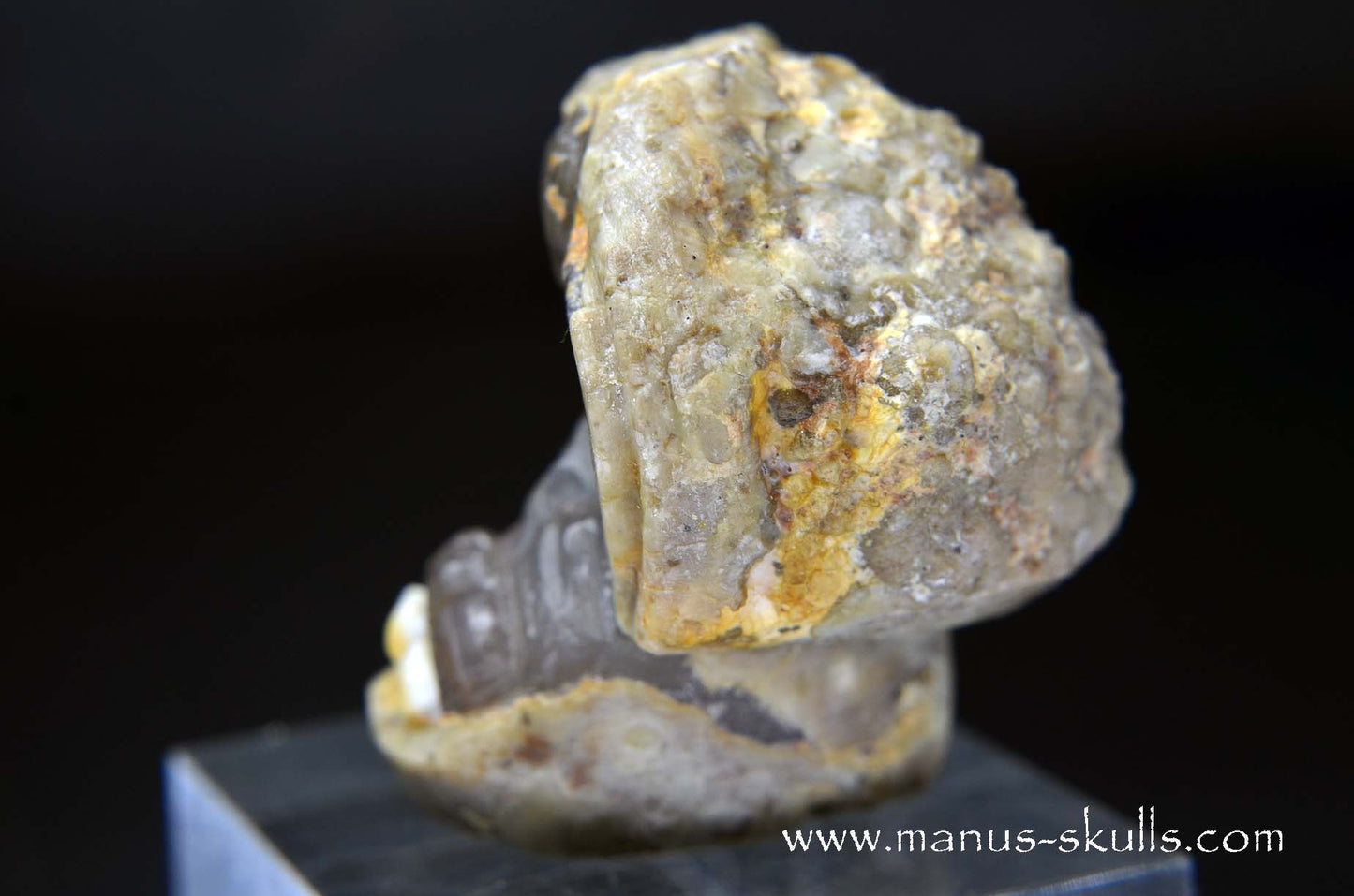 TNT-bed Thunderegg Evolian #03