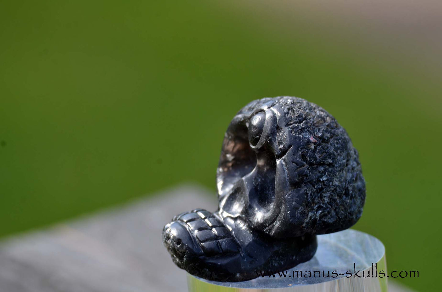 Agni Manitite Evolian #03