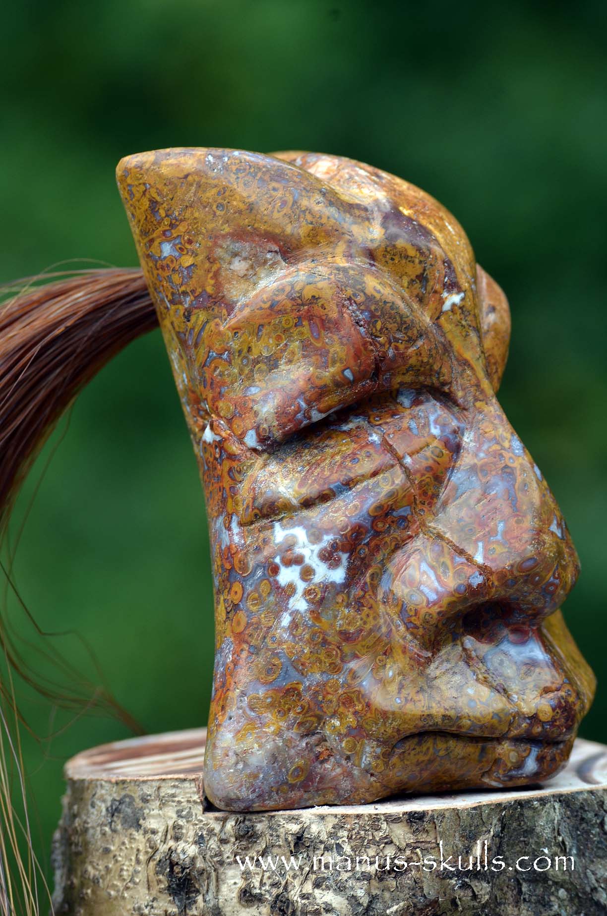 Petrified Palm Wood Tribal Skull #65