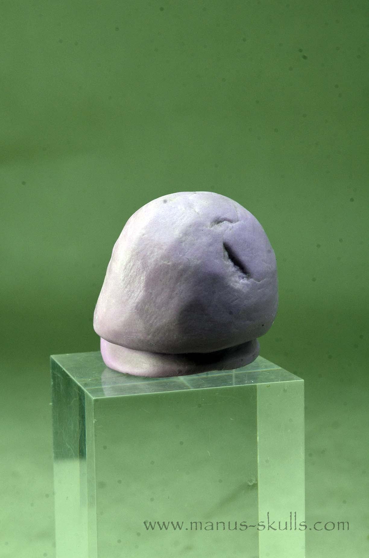 Phosphosiderite Evolian Skull #04