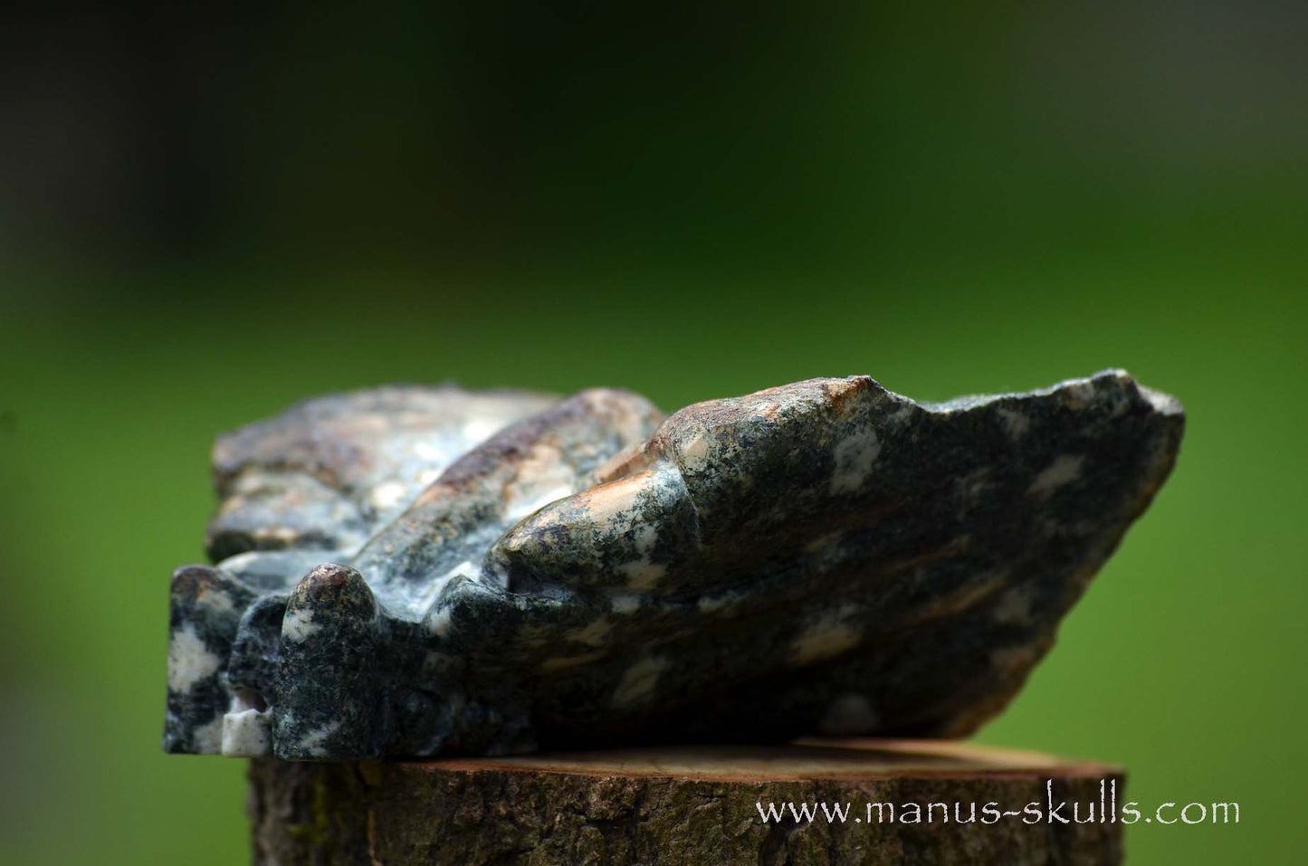 Preseli Bluestone Butterfly Dragon ....
