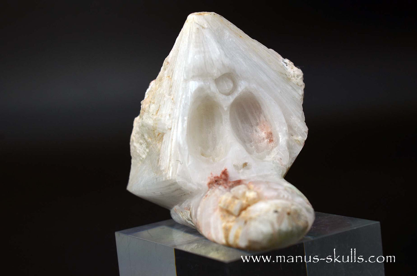 Scolecite Evolian Skull #03
