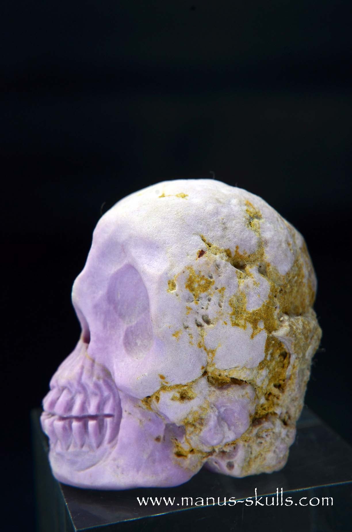 Phosphosiderite Skull