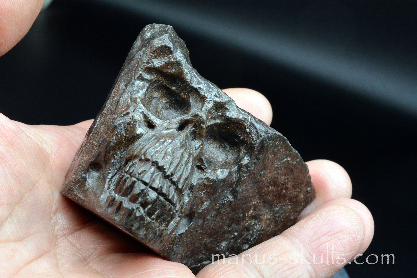 Meteorite Skull