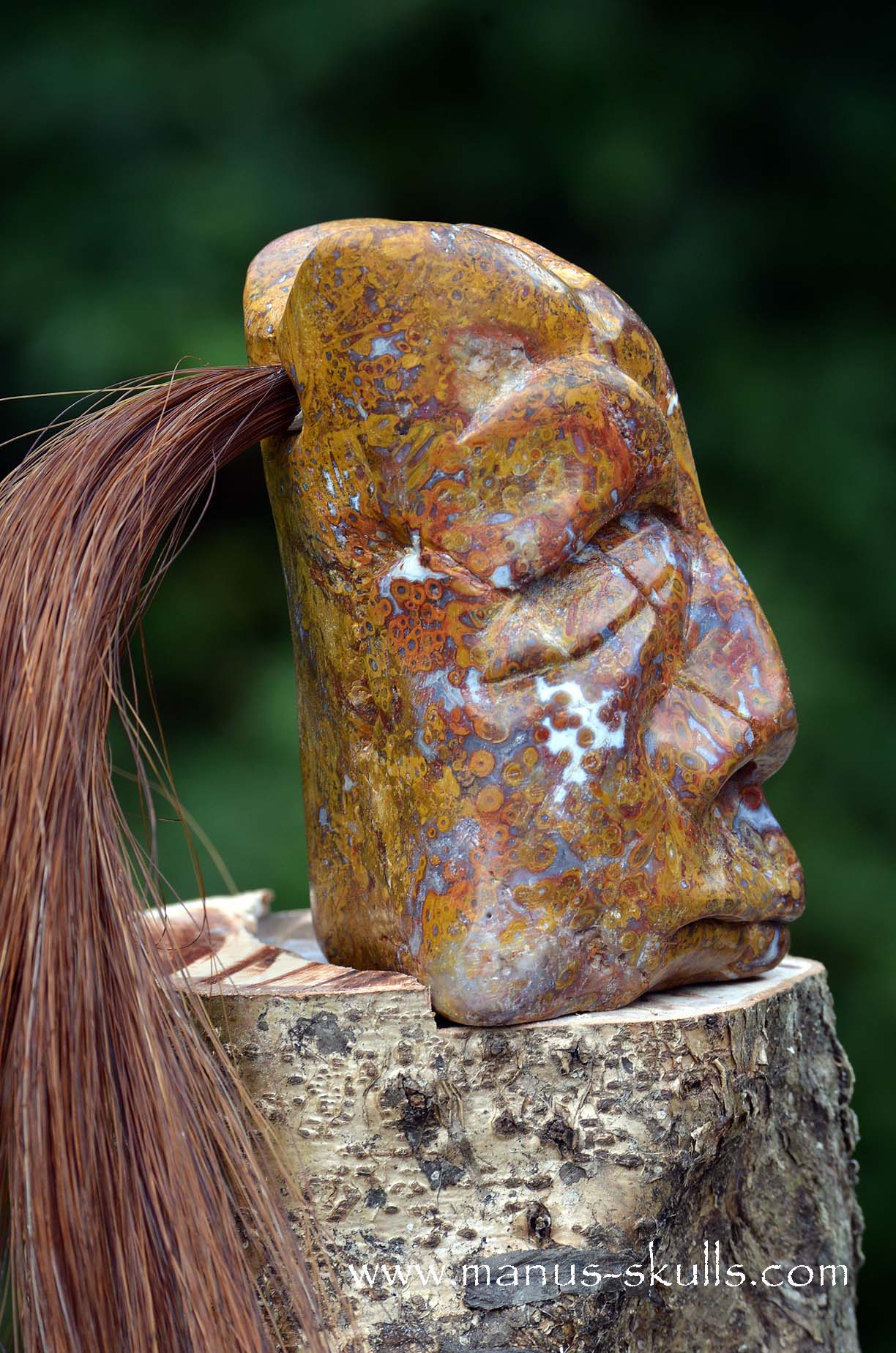 Petrified Palm Wood Tribal Skull #65