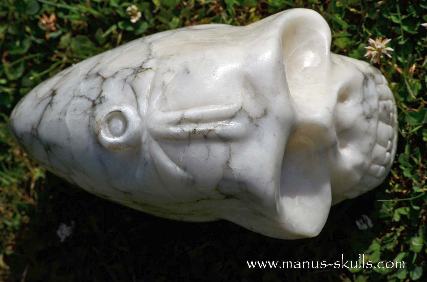 Large Alabaster Skull with Ankh Symbol