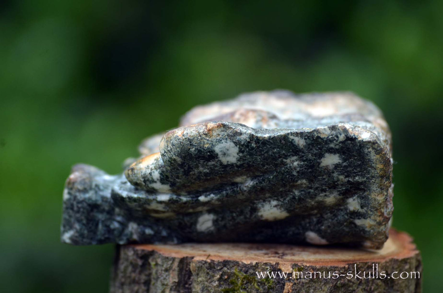 Preseli Bluestone Butterfly Dragon ....