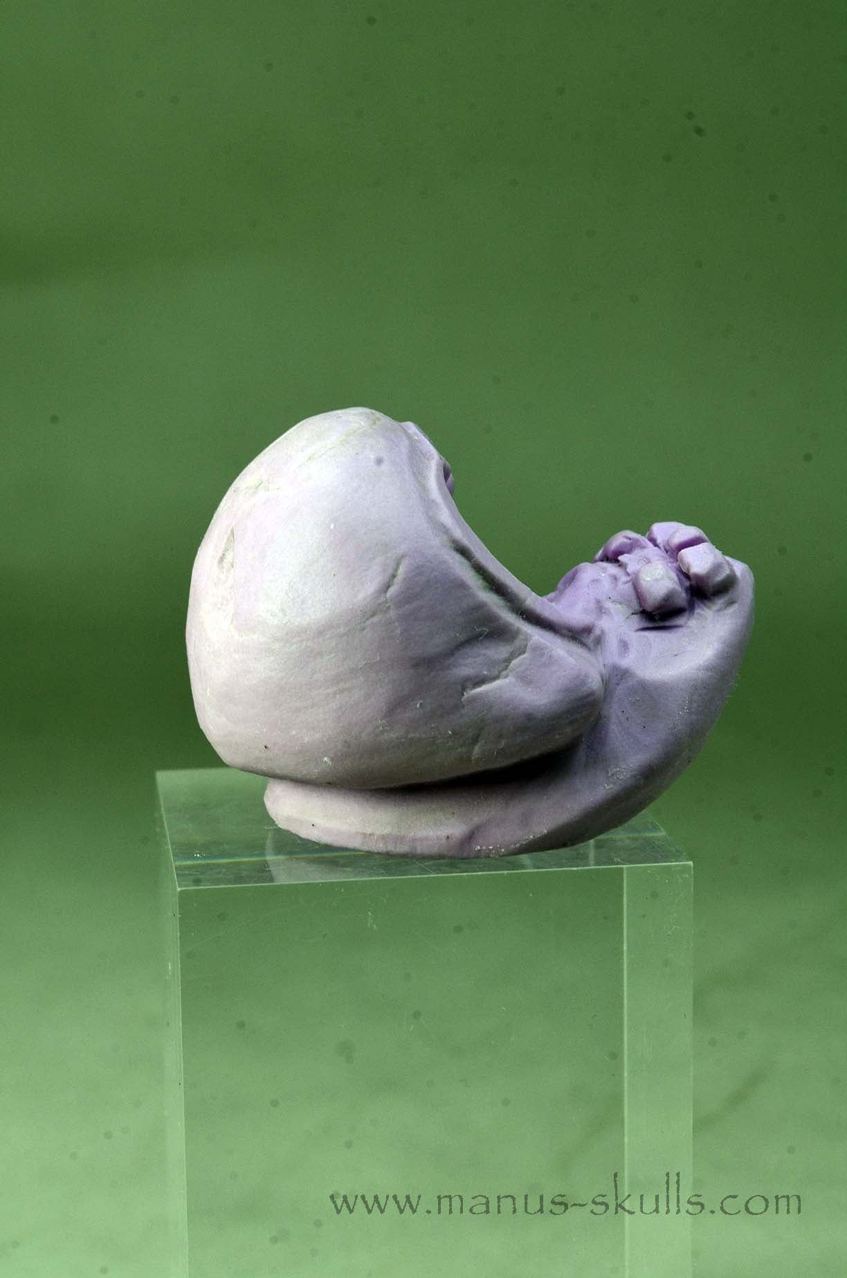 Phosphosiderite Evolian Skull #04