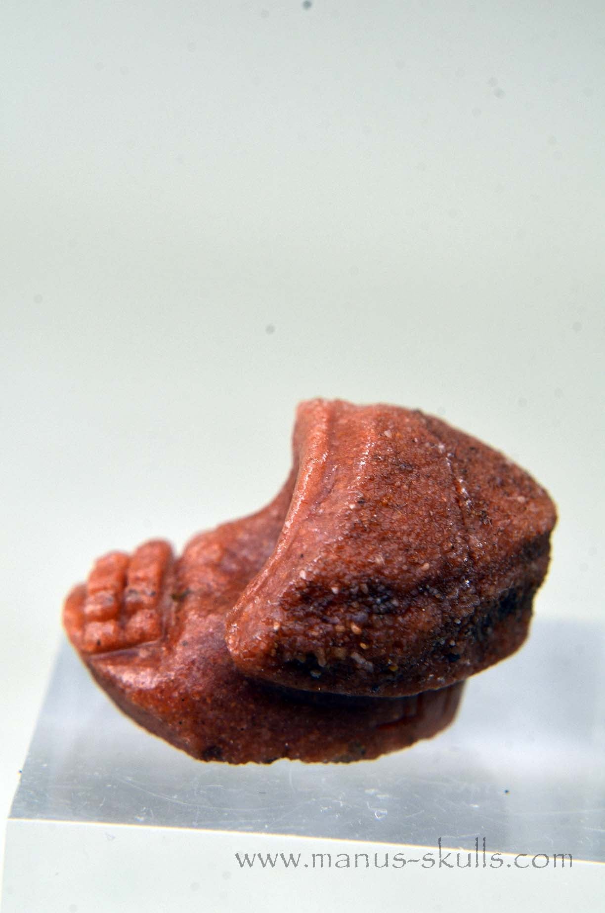 Manus skulls unique Crystal Carvings handmade skulls dragons pendants preseli bluestone tribals spiritual meaning wand Unicorn .. Stromatolite  Oncolite   Evolian 2025  Ivolian