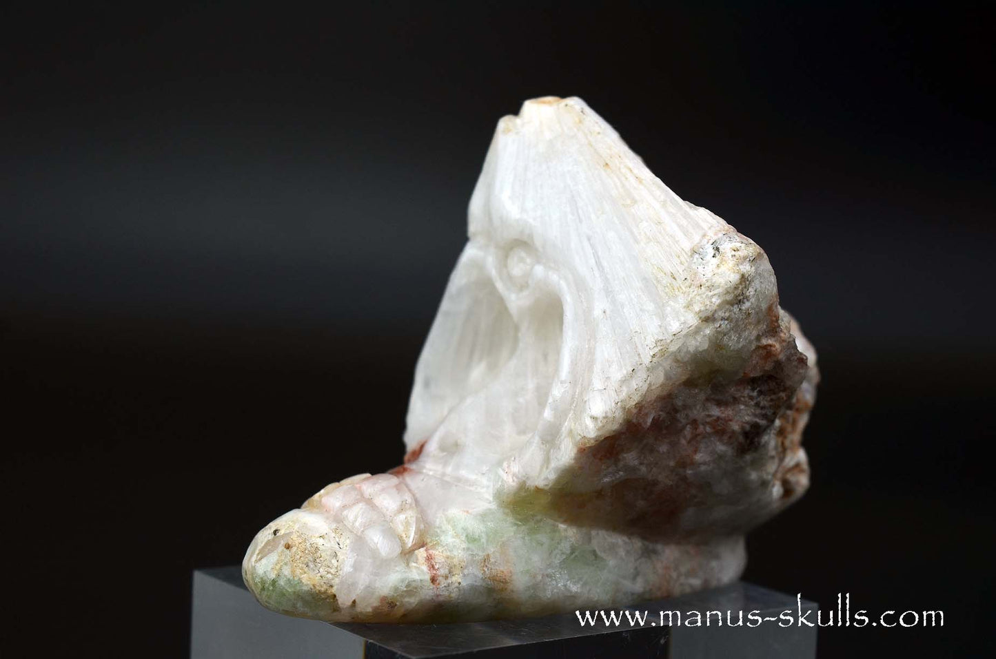 Scolecite Evolian Skull #03