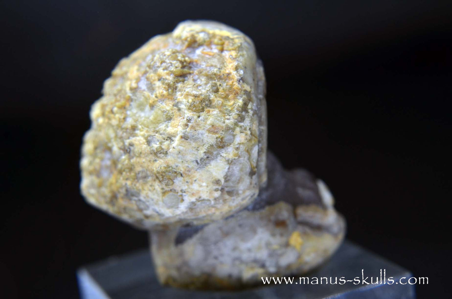 TNT-bed Thunderegg Evolian #03