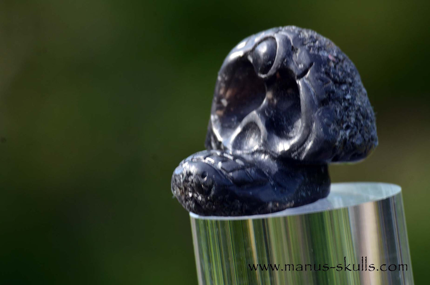 Agni Manitite Evolian #03
