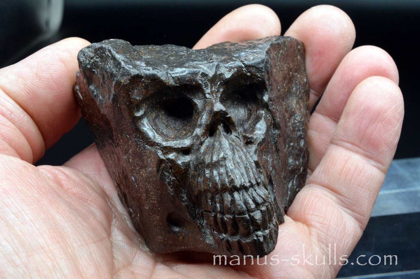 Meteorite Skull