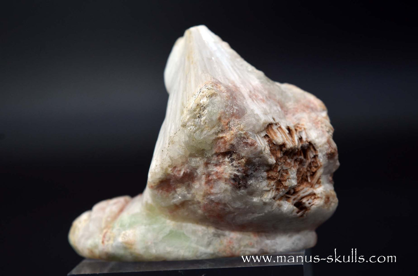 Scolecite Evolian Skull #03