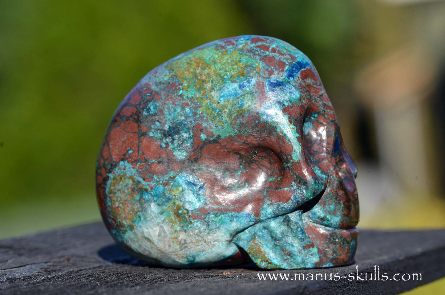 Quantum Quattro Skull