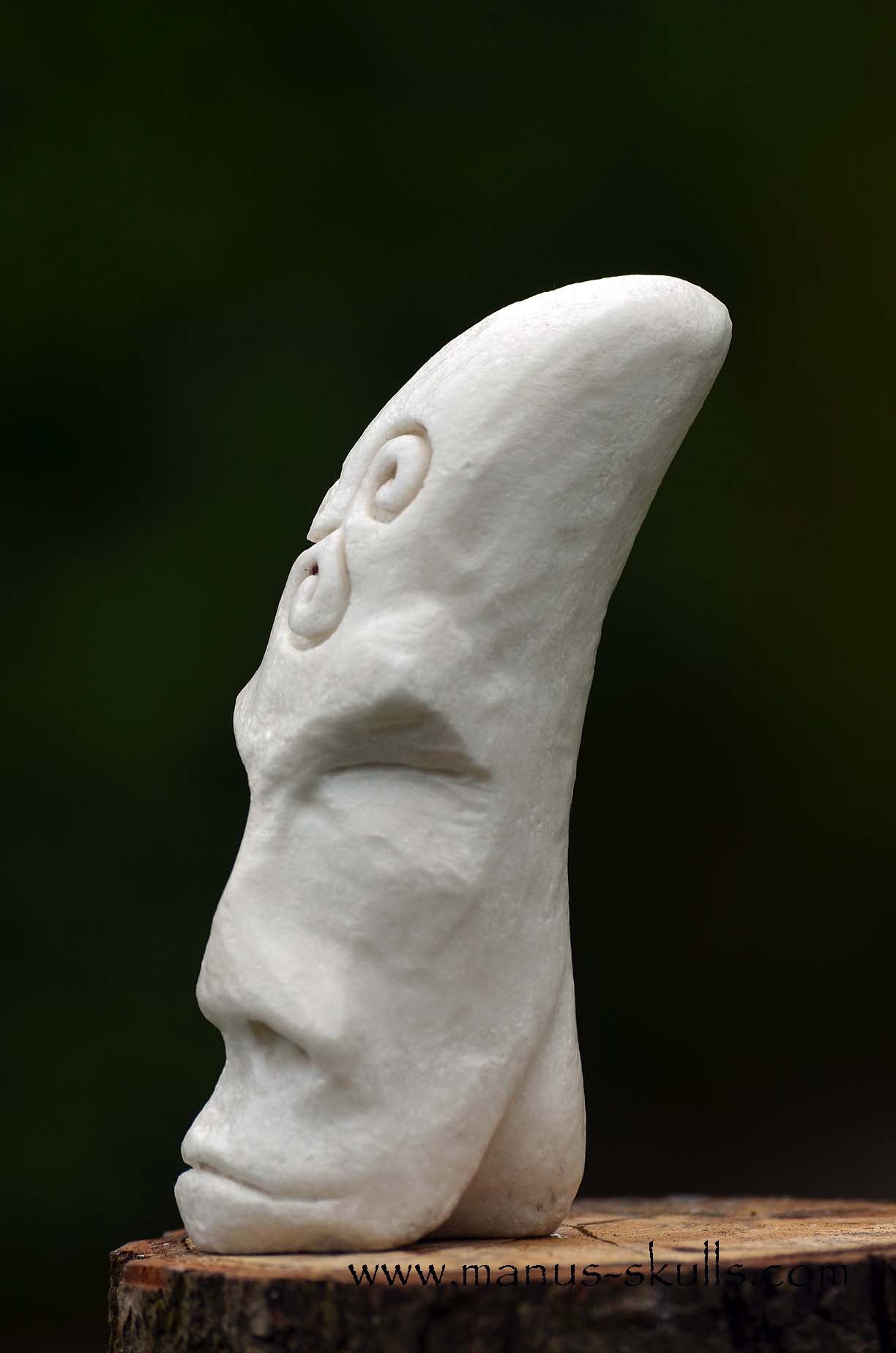 Hairless White Steatite Triskelion Tribal Skull #058