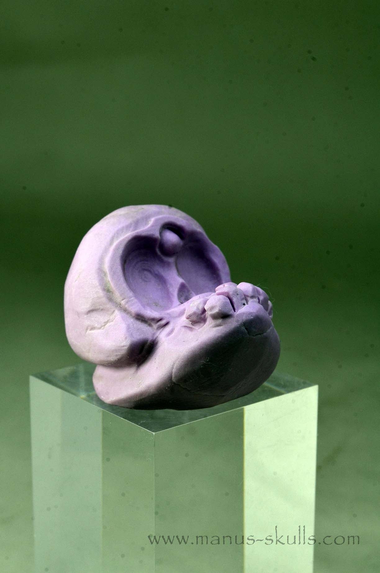 Phosphosiderite Evolian Skull #04