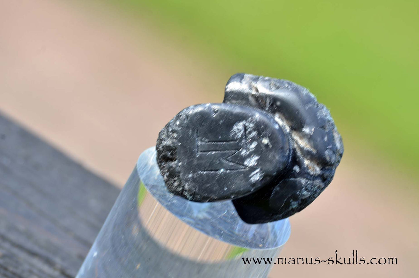Agni Manitite Evolian #03