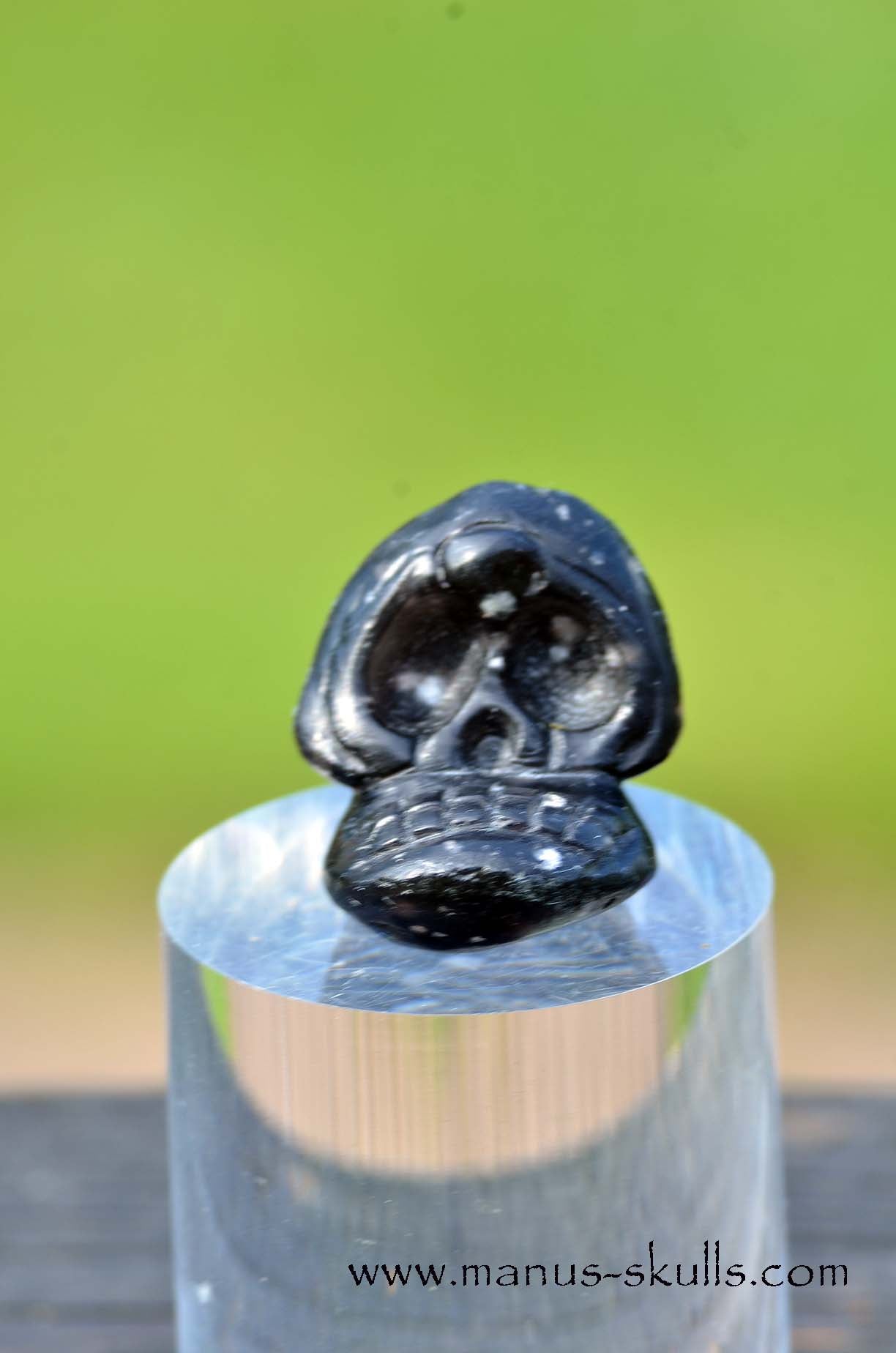 Agni Manitite Evolian #04