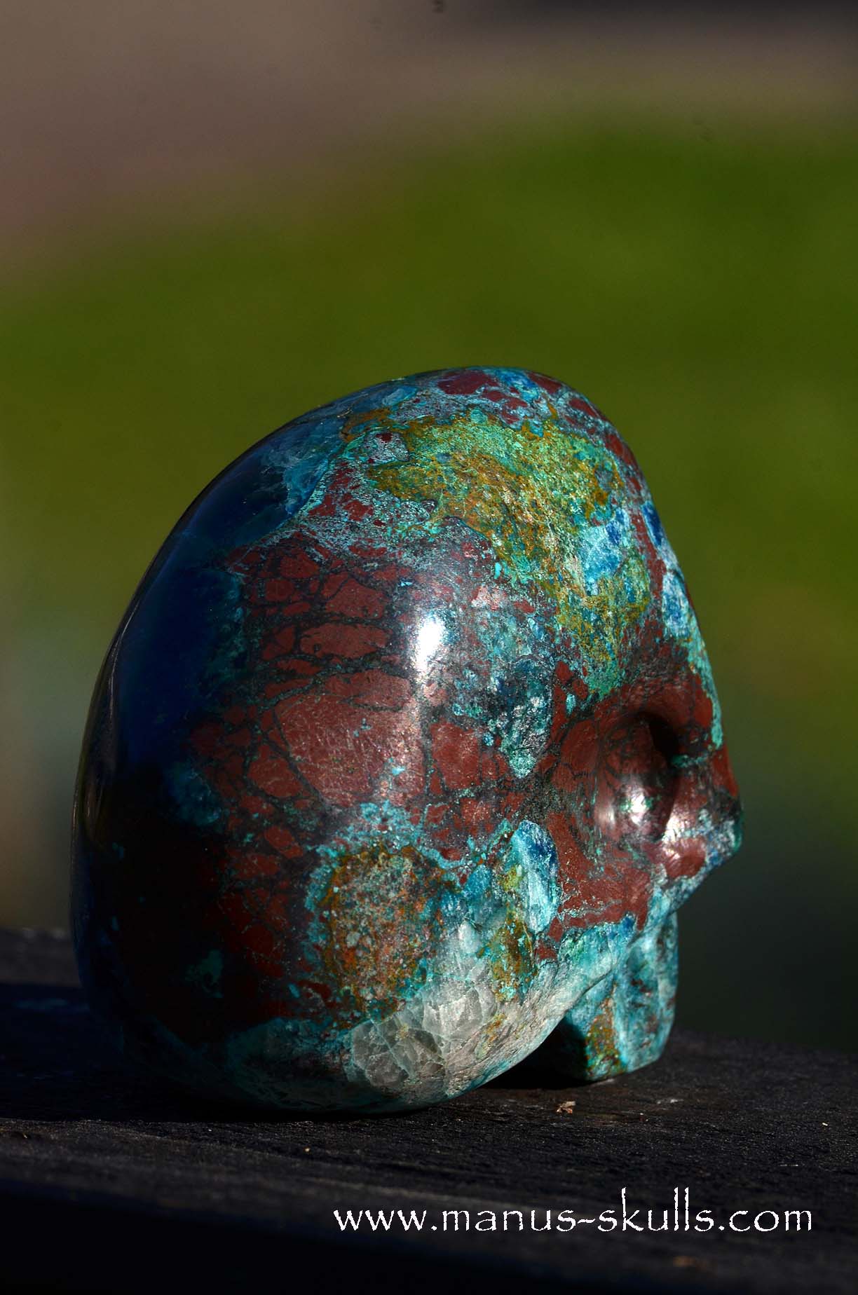 Quantum Quattro Skull