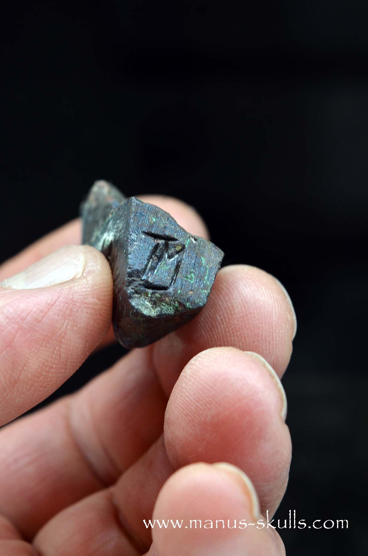 Cuprite Character Skull