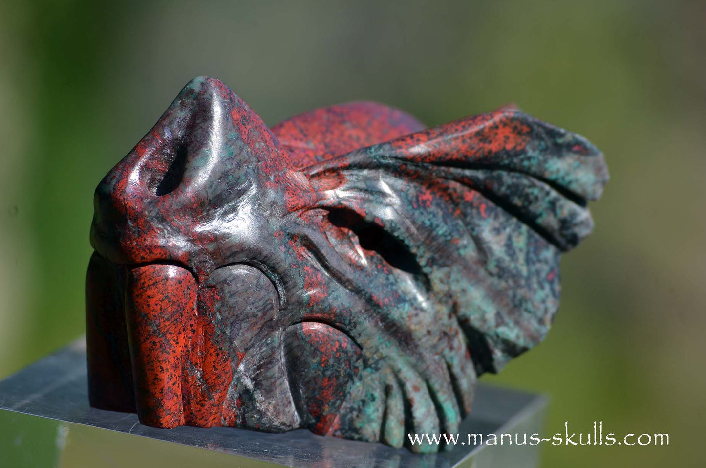 Sonora Sunrise Dragon