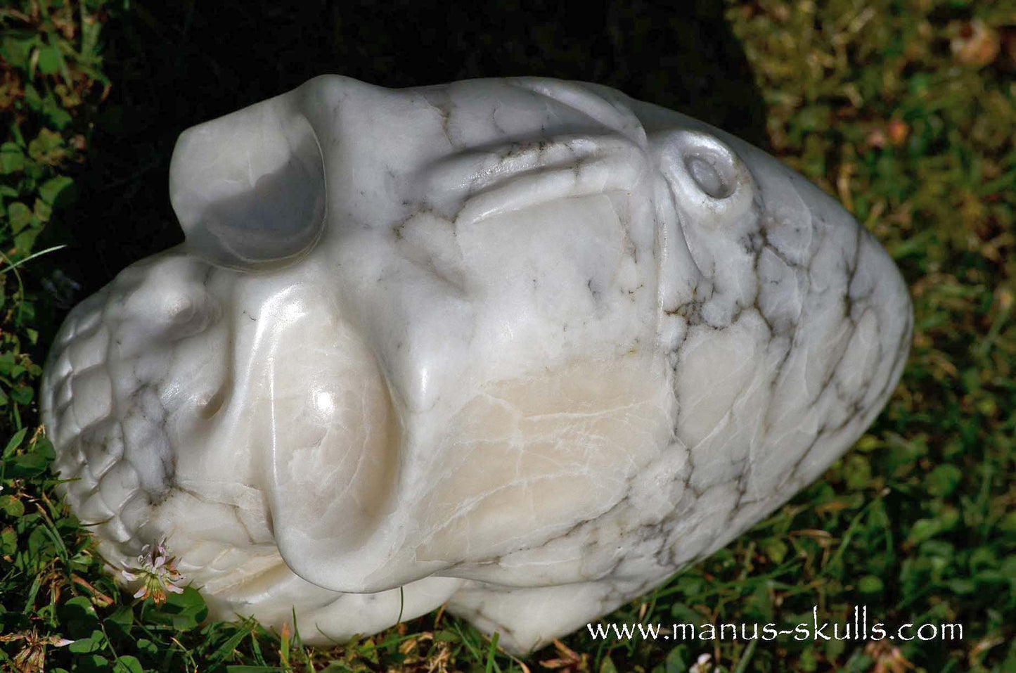 Large Alabaster Skull with Ankh Symbol