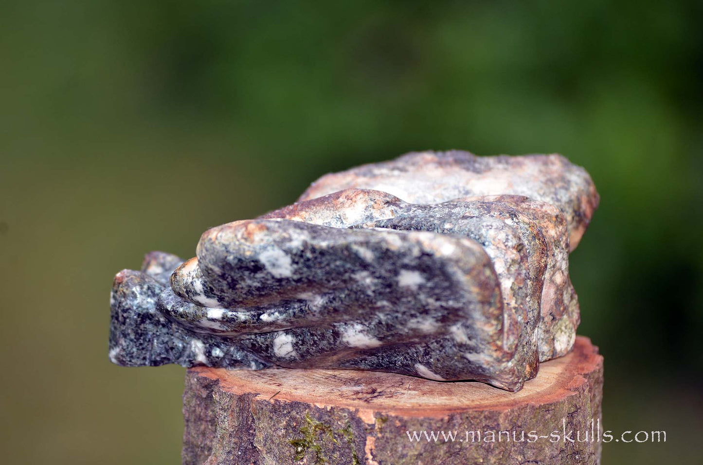 Preseli Bluestone Butterfly Dragon ....