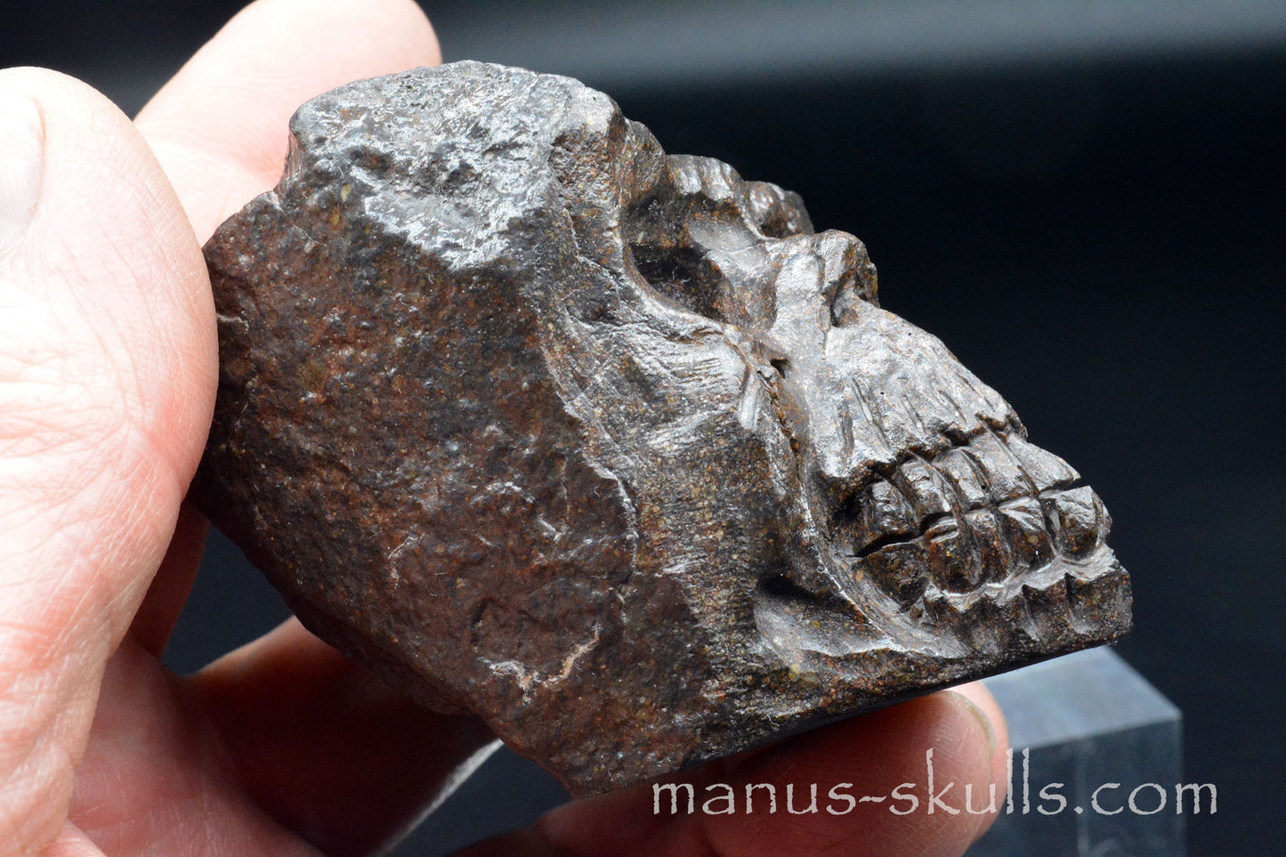 Meteorite Skull