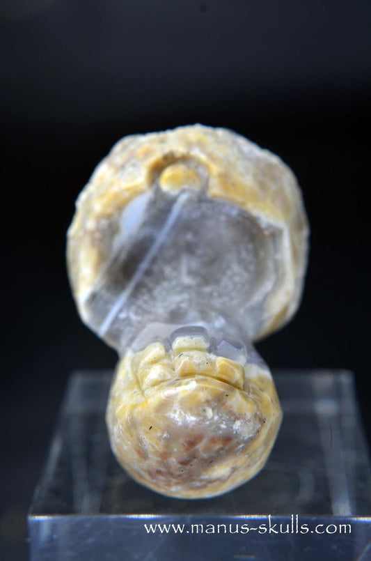 Manus skulls unique Crystal Carvings handmade skulls dragons pendants preseli bluestone tribals spiritual meaning wand Unicorn .. TNT bed   Lithophyse   Thunderegg