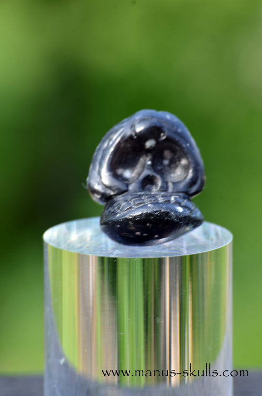 Agni Manitite Evolian Manus Skull